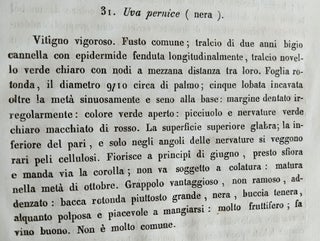 Delle Varietà de’Vitigni del Vesuvio e Del Somma. Richerche ed Annotazioni.