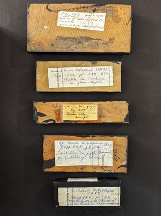 Collection of Original Woodblocks Used to Illustrate French Culinary Classics.