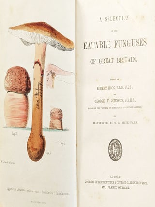 A Selection of the Eatable Funguses of Great Britain. Illustrated by W. G. Smith.