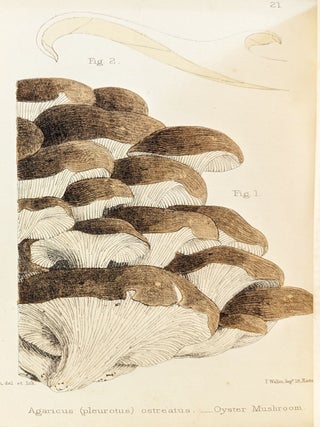 A Selection of the Eatable Funguses of Great Britain. Illustrated by W. G. Smith.