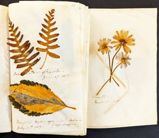 Item #1163 Two small, stitched paper volumes of dried flowers and leaves collected 1859-1864 on a...