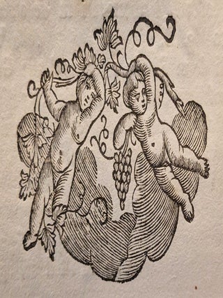 Raccolta delle Regole dell’Ospitale di S. Maria della Misericordia di Udine. Dedicata a sua Eccellenza il N. H. Pietro Canal luogotenente Generale della Patria del Friuli e Protettore dello Stesso Pio Luogo. Seconda edizione. Bound with: Piano che Tende al necessario Provvedimento de’Fanciulli esposti adulti dell’Ospitale di S. Maria della Misericordia di Udine, e che nel tempo stesso invita I Fedeli al loro soccorso. . . Dedicato a sua Eccellenza Reverendissima Monsignor Pietro Antonio Zorzi, Arcivescovo di Udine