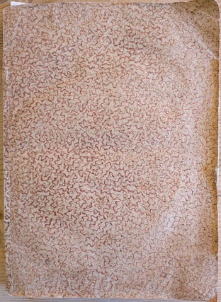 Raccolta delle Regole dell’Ospitale di S. Maria della Misericordia di Udine. Dedicata a sua Eccellenza il N. H. Pietro Canal luogotenente Generale della Patria del Friuli e Protettore dello Stesso Pio Luogo. Seconda edizione. Bound with: Piano che Tende al necessario Provvedimento de’Fanciulli esposti adulti dell’Ospitale di S. Maria della Misericordia di Udine, e che nel tempo stesso invita I Fedeli al loro soccorso. . . Dedicato a sua Eccellenza Reverendissima Monsignor Pietro Antonio Zorzi, Arcivescovo di Udine