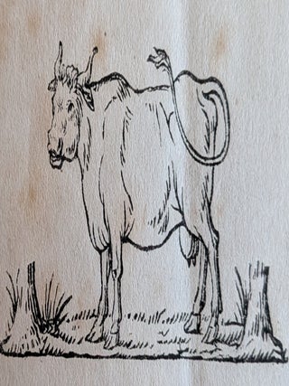Sul Modo Pratico de Fabbricare il Formaggio Grasso detto Stracchino di Gorgonzóla.