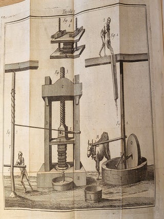 Istruzioni sulla nuova manifattura dell&rsquo;olio introdotta nel Regno di Napoli dal marchese Domenico Grimaldi di Messimeri, Patrizio Genovese, socio ordinario, e corrispondente dell&rsquo;Accademia de&rsquo;Geogrofili di Firenze, della Societ&aacute; di Abricultura di Parigi e di Berna. Secondo edizioni. Migliorata, ed accresciuta notabilmente. Dedicata a S.E. d. Giuseppe Beccadelli di Bologna.