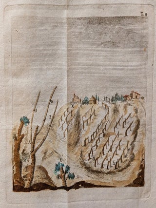 Arte de Fare il Vino per la Lombardia Austriaca e Metodi Practici per Fare I Migliori Vine Toscani in Risposta Specialmente alle Domande dell Soc. Patriotica di Milano.