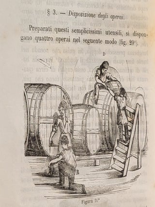 Istruzione Teorico-Pratica sul Modo di Fare il Vino e Conservarlo. Opera divisa in Quattro parti e corredata di 33 incisioni in legno. Prima edizione.