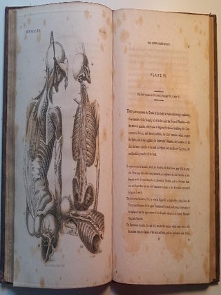 Engravings of the Bones, Muscles and Joints.