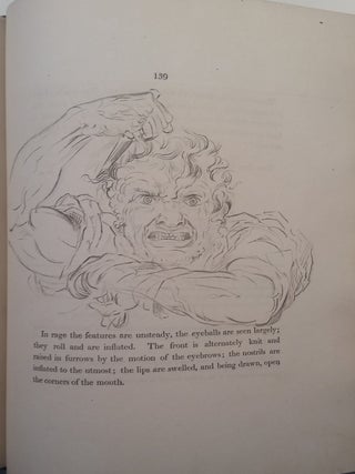 Essay on the Anatomy of Expression in Painting