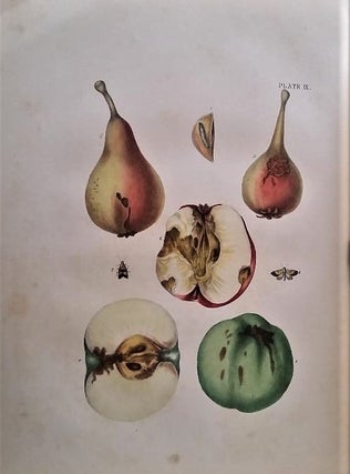 A Treatise on the Insect Enemies of Fruit and Fruit Trees. With numerous illustrations drawn from nature by Hockstein, under the immediate supervision of the author.