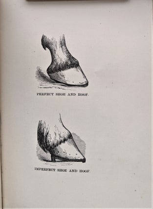 Item #478 Rational Horse-Shoeing. With Illustrations. By Wildair. John E. Russell