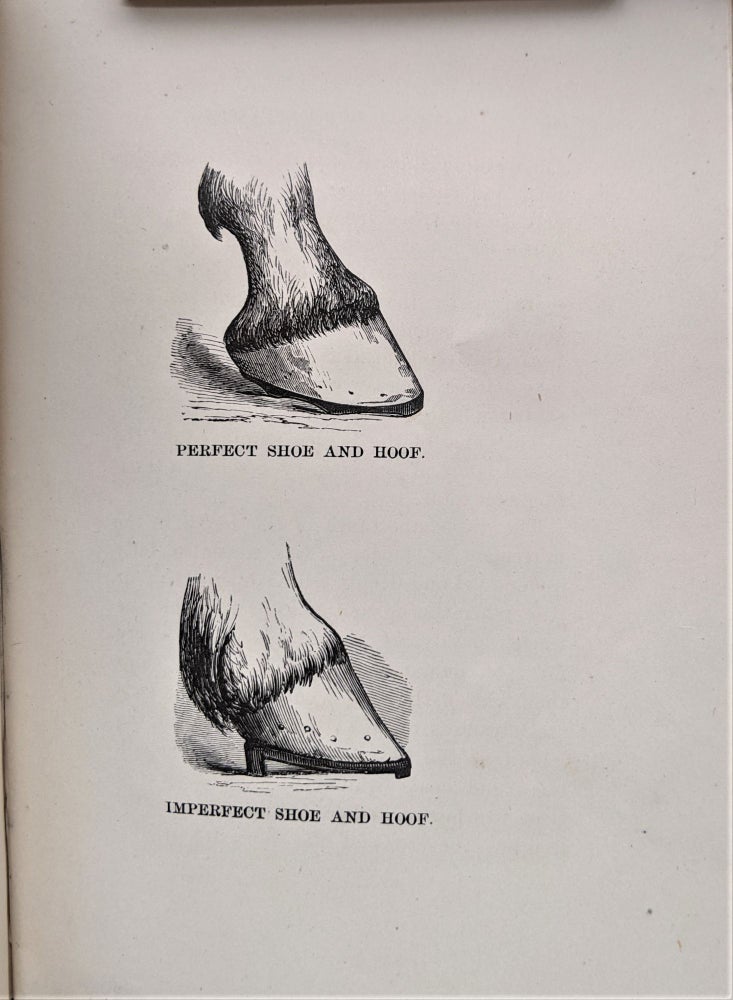 Item #478 Rational Horse-Shoeing. With Illustrations. By Wildair. John E. Russell.